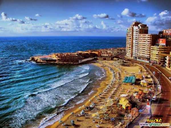 Day Trip to Alexandria